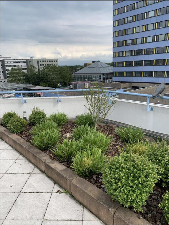 Im Herzen Von Wiesdorf- Blick Auf Das Bayer-Kreuz -Appartement Mit 2 Schlafzimmern-Fuer 3 Personen -Zentral Gelegen - Friedrich Ebert Platz 5A , 4Te Etage - Dachterrasse Und Sauna - Kaution Pflicht - Леверкузен Экстерьер фото